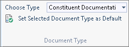 default document type